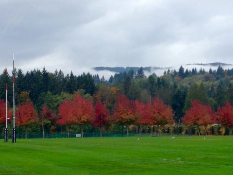 Facebook-20151130-010202